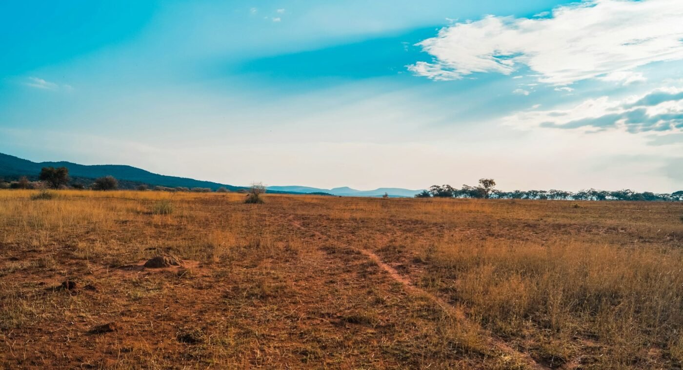 South Africa declares new national park in Eastern Cape grasslands