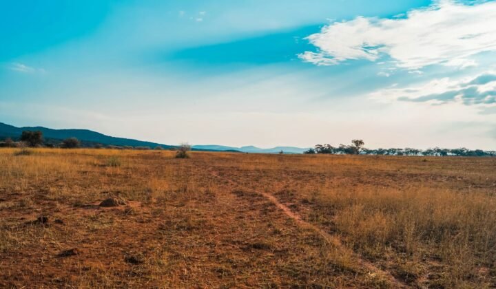 South Africa declares new national park in Eastern Cape grasslands