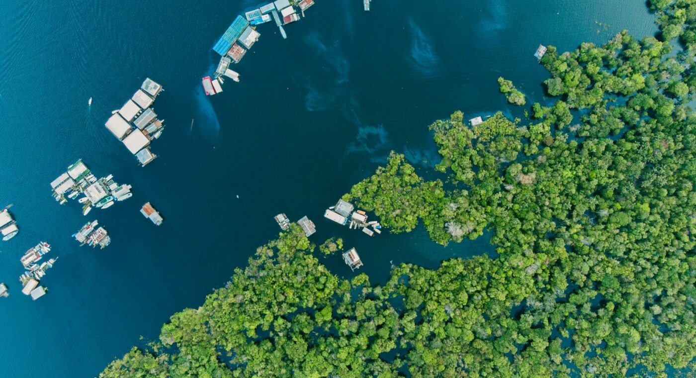 Vista aérea da floresta e do rio Amazonas
