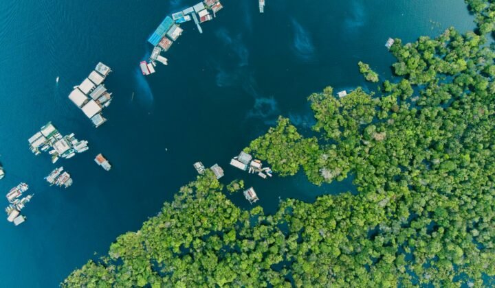 Vista aérea da floresta e do rio Amazonas