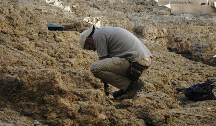3,400-year-old Hittite royal archive found in Turkey reveals an epidemic, wars and a king's grief