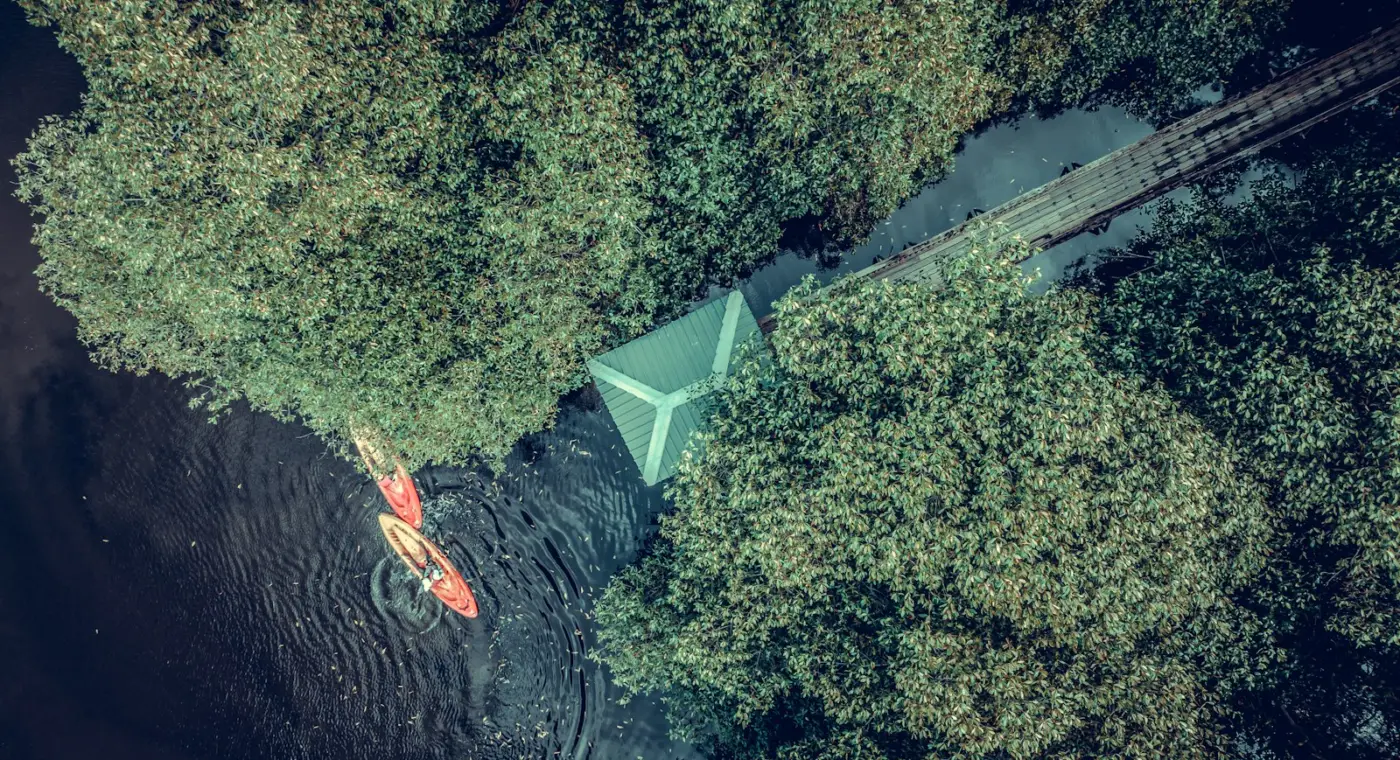 Vida aquática num ecossistema de água