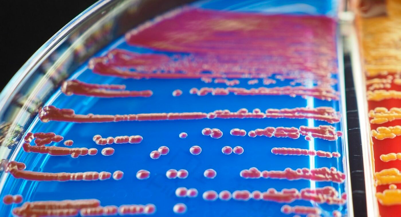 Russian bioinformaticians uncover how bacteria create new toxins against pests