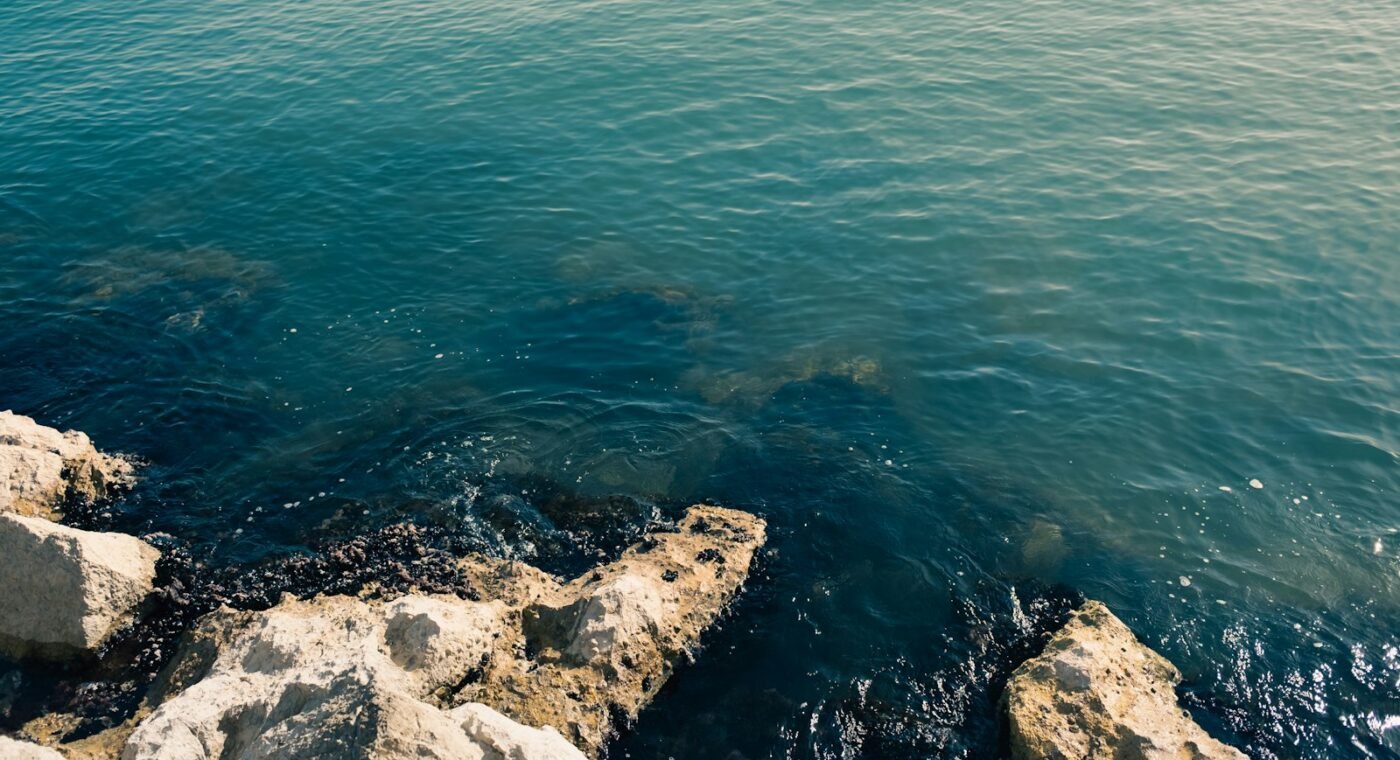 Chinese desalination plant cuts its electricity use by more than half