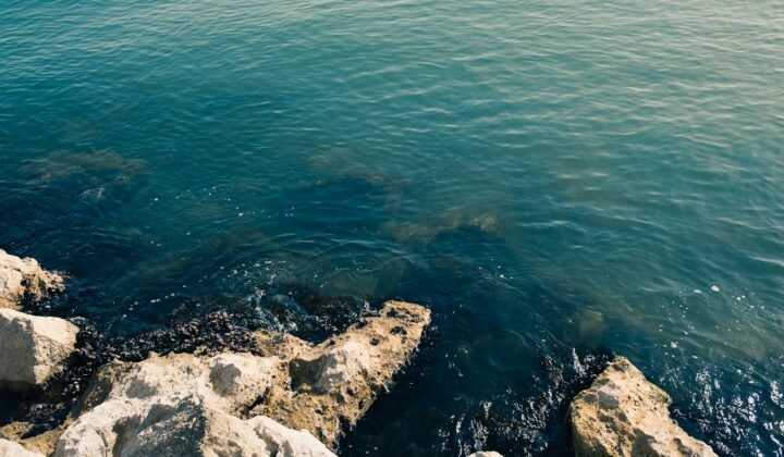 Chinese desalination plant cuts its electricity use by more than half