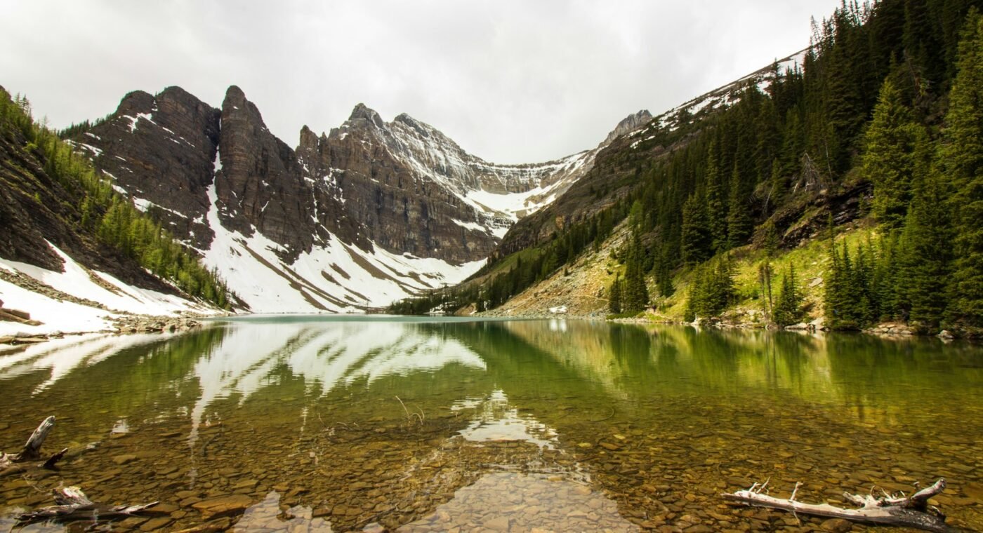 Swiss Alpine bacteria show unexpected ability against viruses
