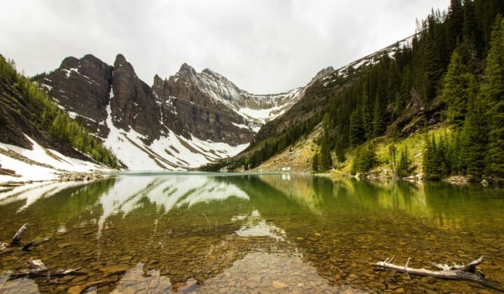Swiss Alpine bacteria show unexpected ability against viruses