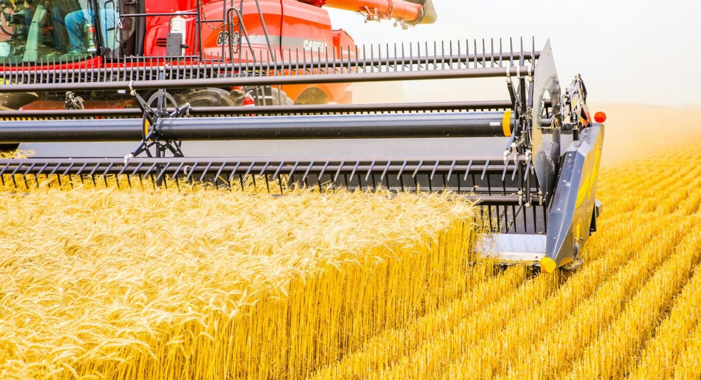 China unveils AI-powered robot to help breed better wheat varieties