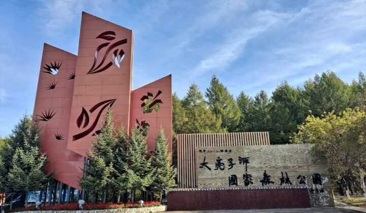 Paisagem verde do Parque Florestal Nacional Daliangzihe na China