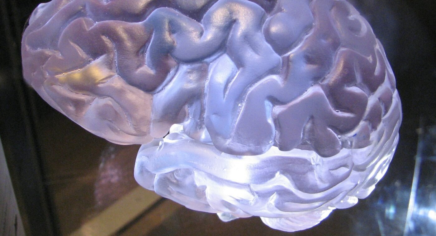 Swiss atlas reveals 539 hidden chemical "neighbourhoods" in the brain