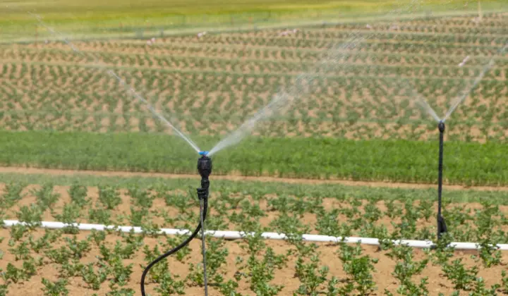 Des étudiants du Costa Rica créent un système d'irrigation intelligent et sont primés en Amérique centrale