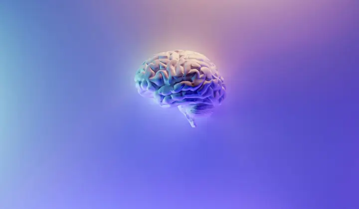 «GPS do cérebro»: cientista checo estuda como os neurónios encontram o caminho certo