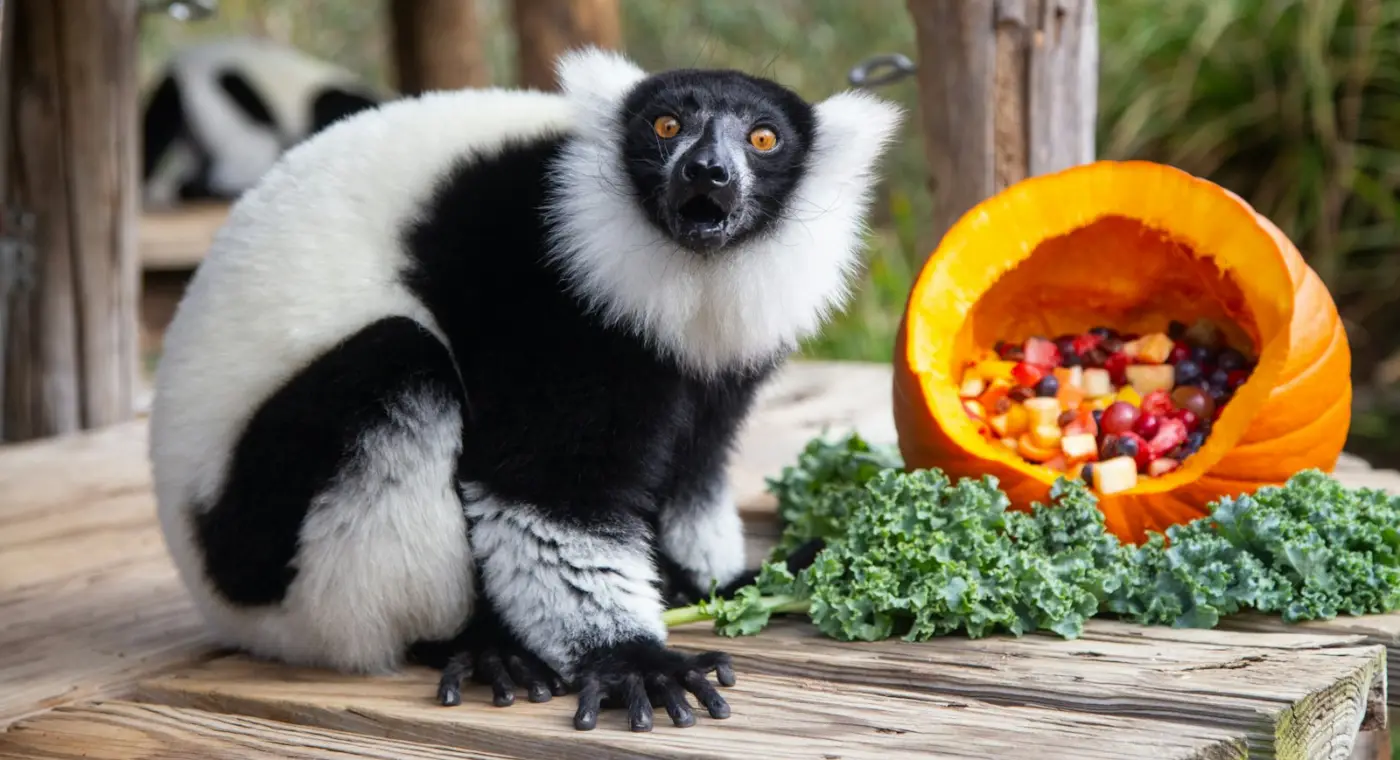 Les dents de 500 animaux révèlent que les premiers primates sont passés des insectes aux plantes