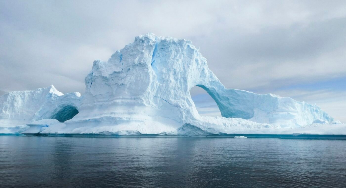 UAE becomes the first Arab country to join the Antarctic science committee