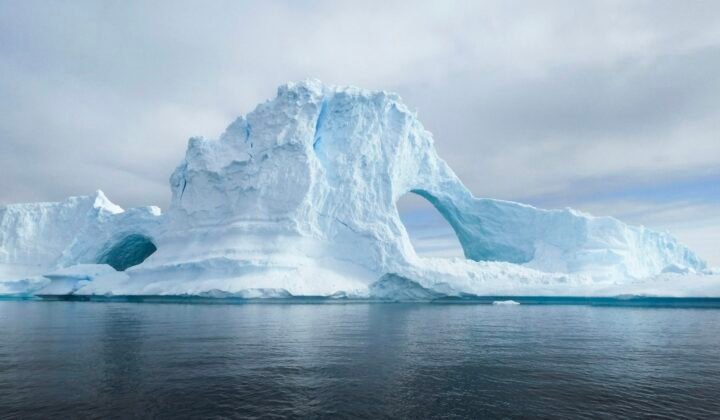 UAE becomes the first Arab country to join the Antarctic science committee
