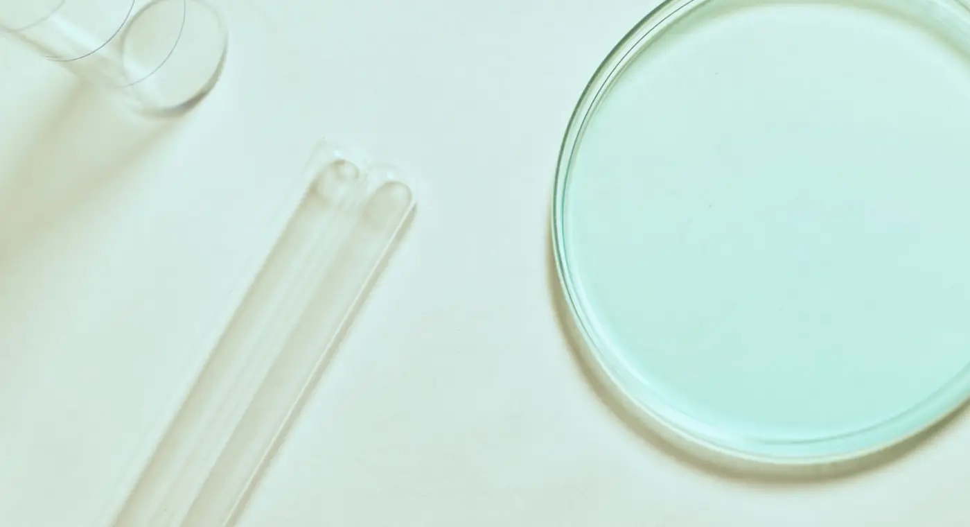 MIT AI model reconstructs the signalling “history” that guides each cell in the embryo