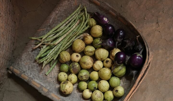 Cesto com legumes frescos e variados