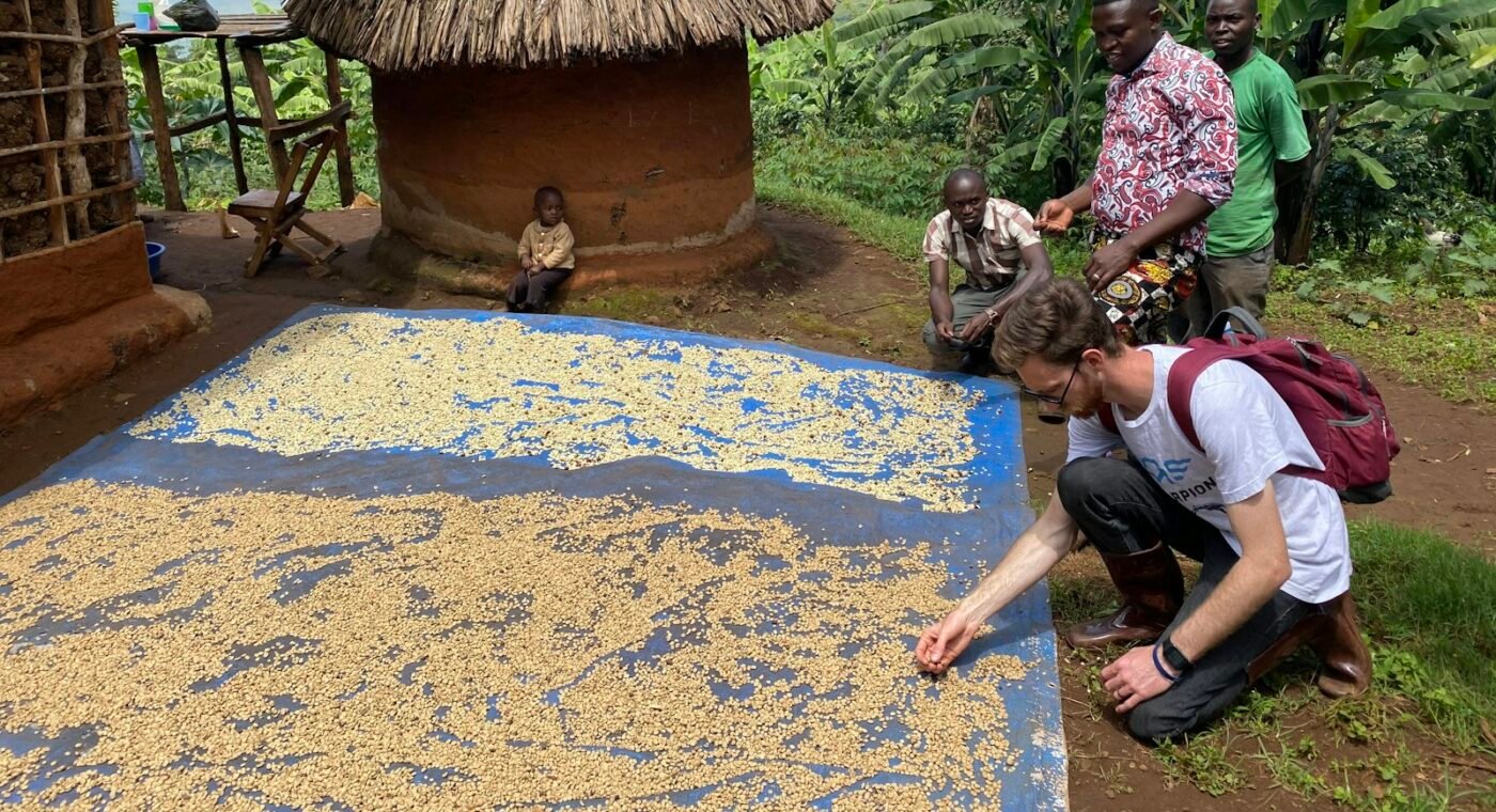 Angonabeiro adiantou 1,5 milhões de dólares a produtores de café angolanos