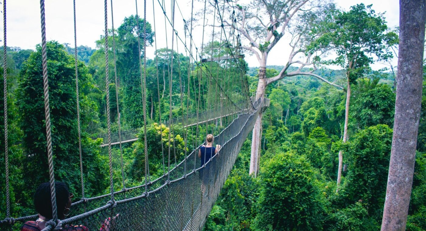 Angola prepara projeto que protege a natureza para prevenir pandemias