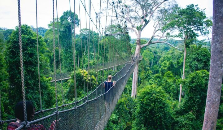 Angola prepara projeto que protege a natureza para prevenir pandemias