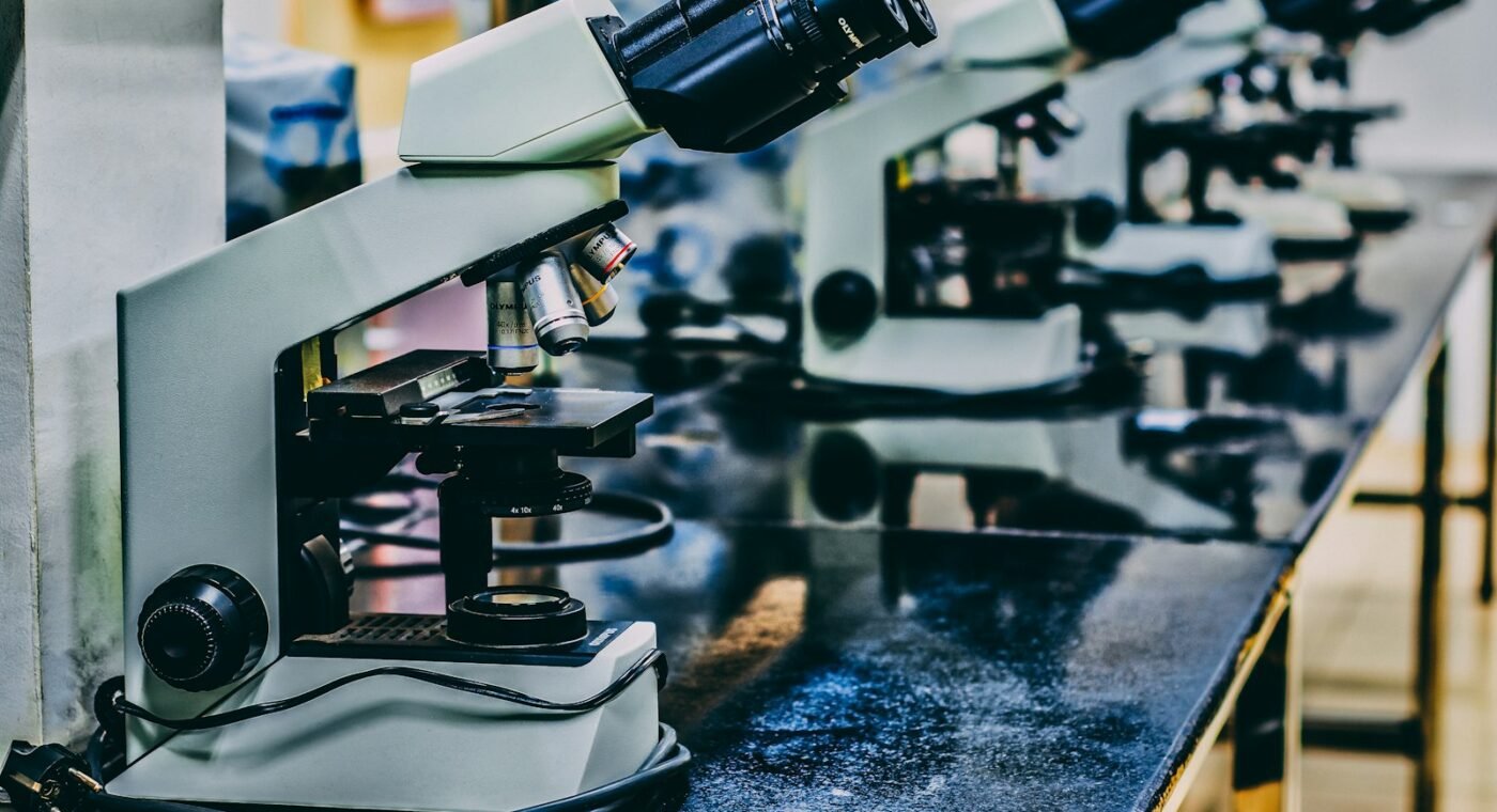 Investigadores no Luxemburgo apontam novas vias para tratar tumores cerebrais agressivos