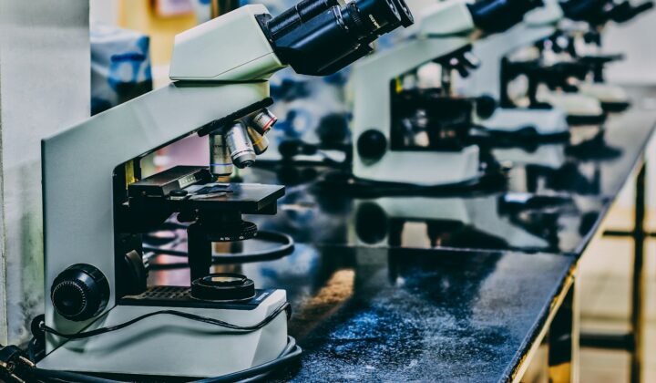 Investigadores no Luxemburgo apontam novas vias para tratar tumores cerebrais agressivos