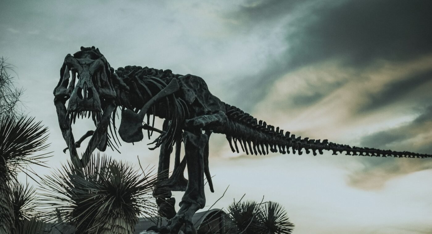 Fossiles et « dinosaures » montent au Morro da Urca, à Rio de Janeiro