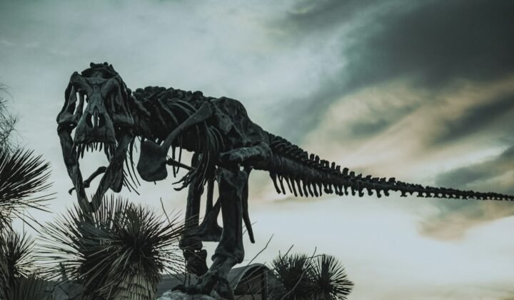 Fossiles et « dinosaures » montent au Morro da Urca, à Rio de Janeiro