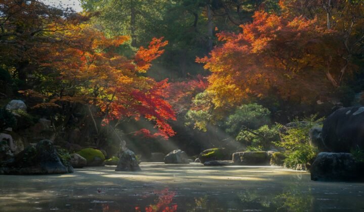 Beetles help protect Japanese forests with a ‘honey trap’