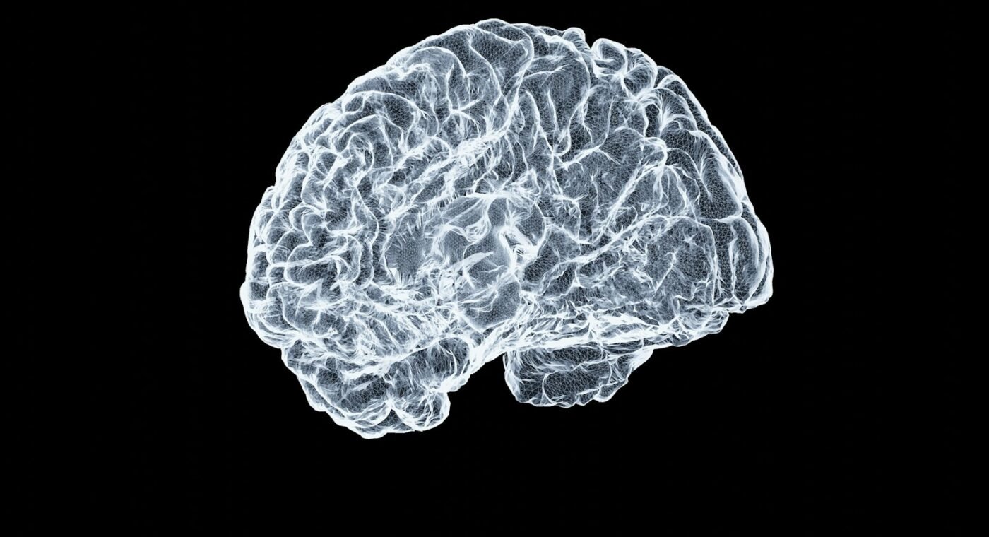 Projeto luxemburguês usa inteligência artificial para detetar sinais de Alzheimer em ressonâncias