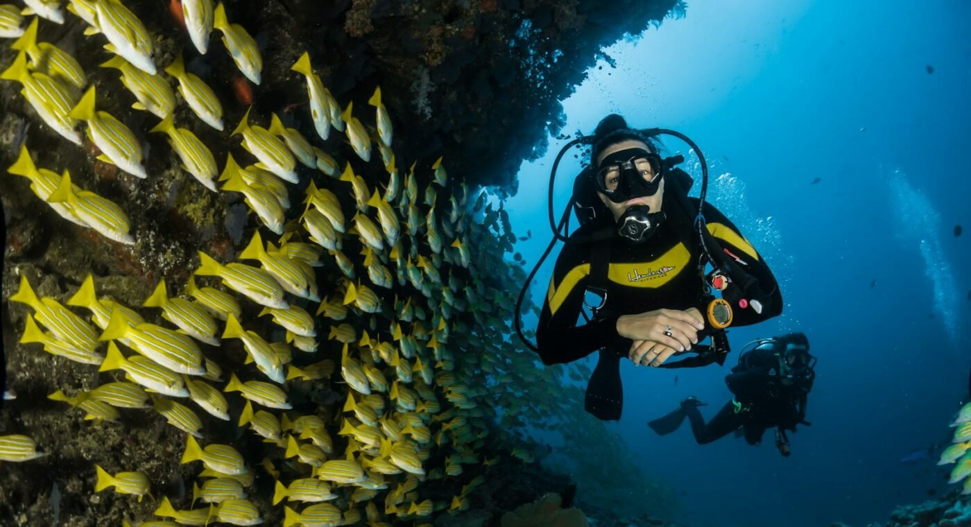 Une biologiste qui a mobilisé des milliers de plongeurs pour restaurer les coraux en Floride récompensée