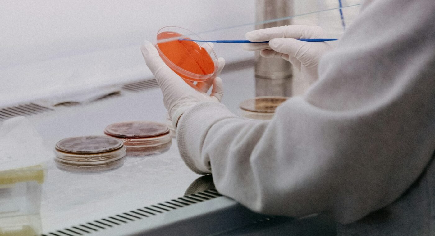 Investigadores do Porto e do Minho criam hidrogel para tratar o melanoma