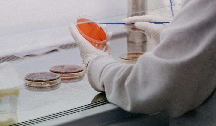Researchers in Porto and Minho develop a hydrogel to treat melanoma