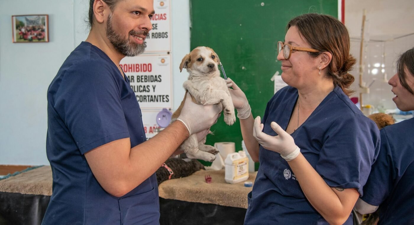 Imagem ilustrativa: Chile é o primeiro país da América do Sul a eliminar a raiva transmitida por cães