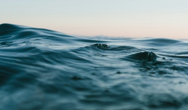 Micróbio mais abundante do oceano também vive em comunidades e pode levar carbono para o fundo do mar