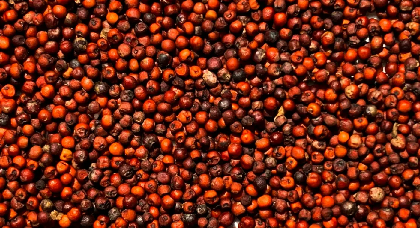 Le Népal présente millets, cardamome et innovation agricole au Forum mondial de l’alimentation