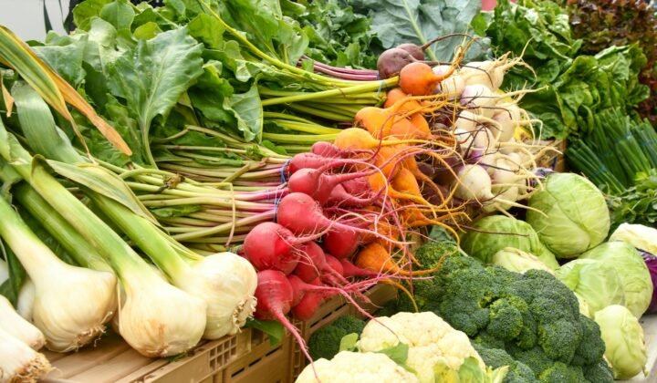 पोषण विशेषज्ञ मैरियन नेस्ले को पोर्टो विश्वविद्यालय मानद डॉक्टरेट देगा