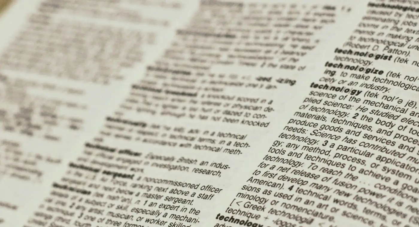 Leiden linguist receives grant to map the network of words we use without thinking