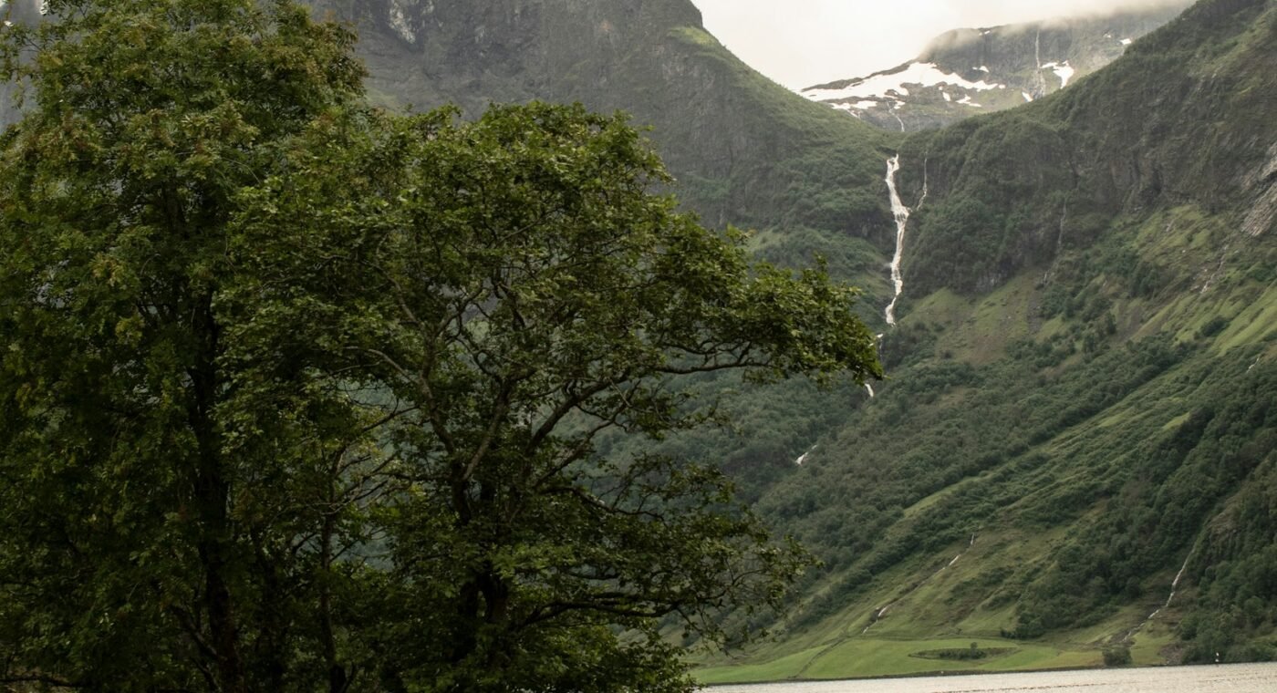Tecnologia norueguesa procura melhorar pastoreio, bem-estar animal e biodiversidade — fotografia Unsplash