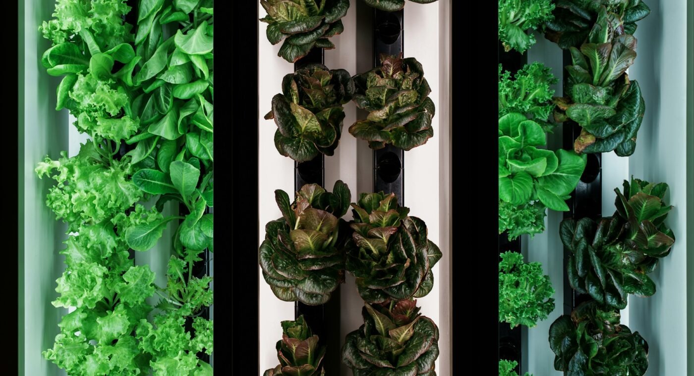 Norwegian robot grows and packs food all year round