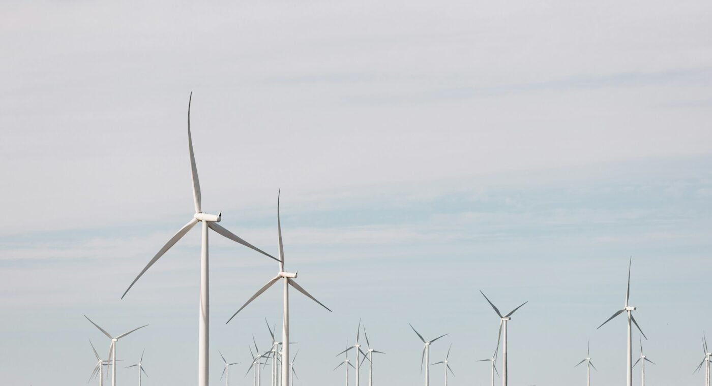 Norwegian project aims to make wind turbines safer for birds