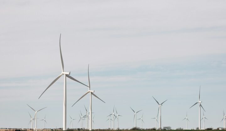 Norwegian project aims to make wind turbines safer for birds