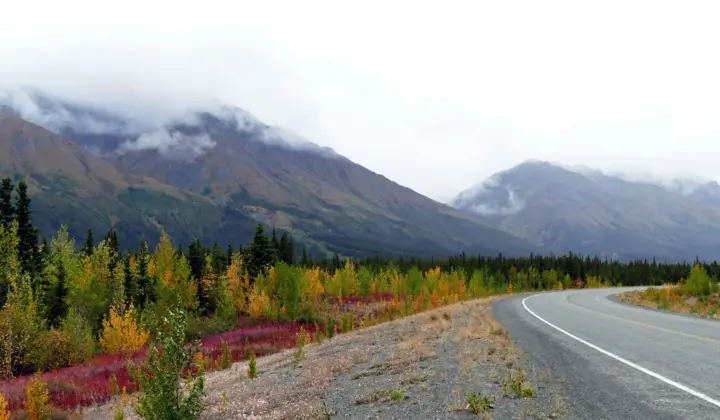 Le Yukon crée un programme pour développer la foresterie et la bioénergie
