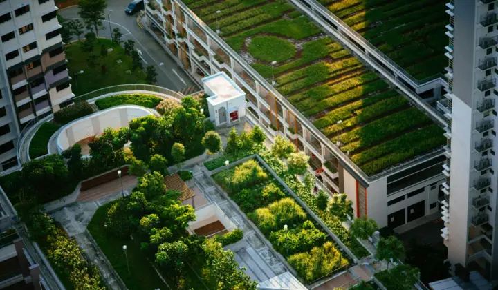 México lança financiamento para edifícios sustentáveis