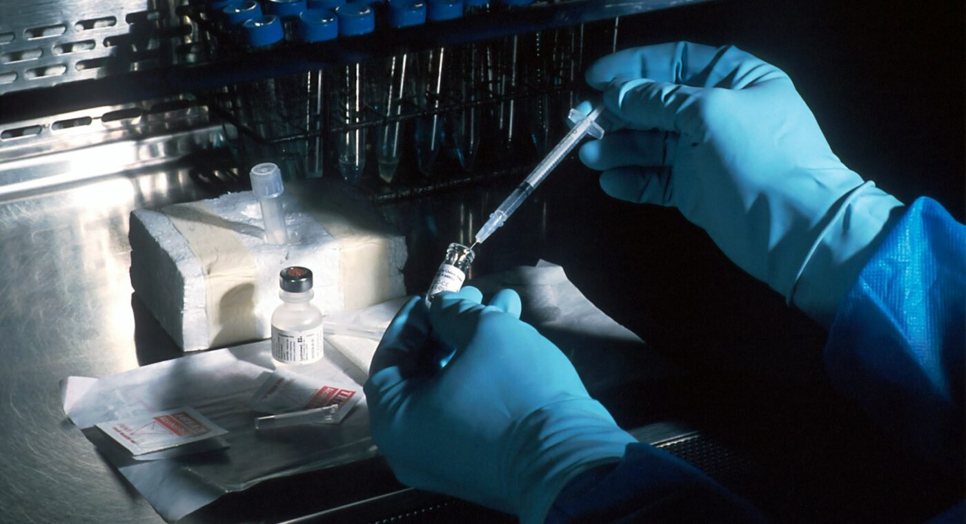 Portuguese technology speeds up testing of brain tumour therapies