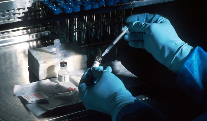 Portuguese technology speeds up testing of brain tumour therapies