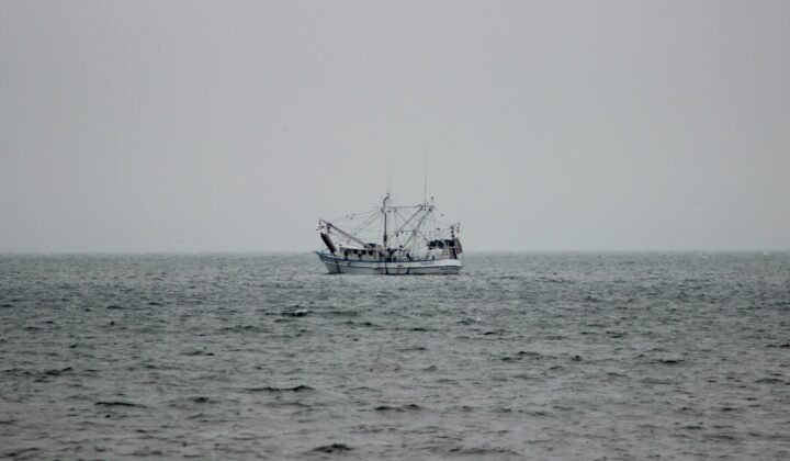 Barco de pesca artesanal no oceano