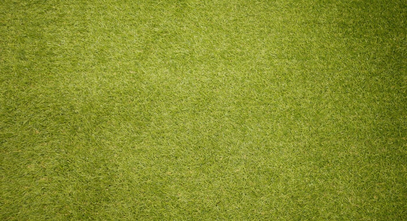Grass and clover residues have already been turned into an experimental fabric in Sweden