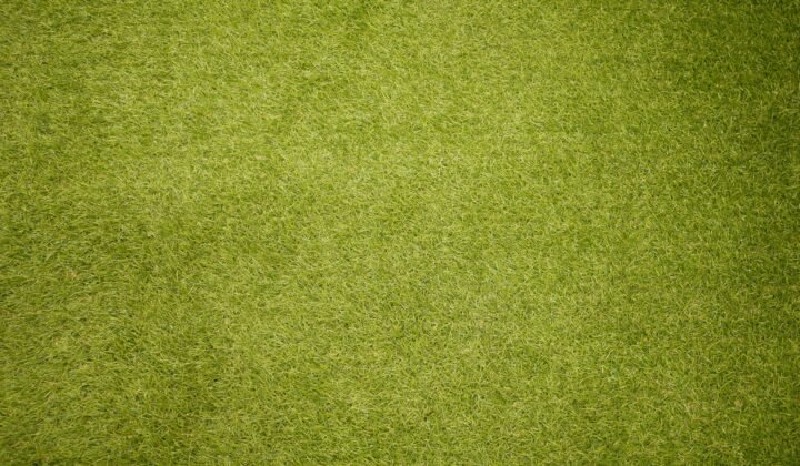 Grass and clover residues have already been turned into an experimental fabric in Sweden