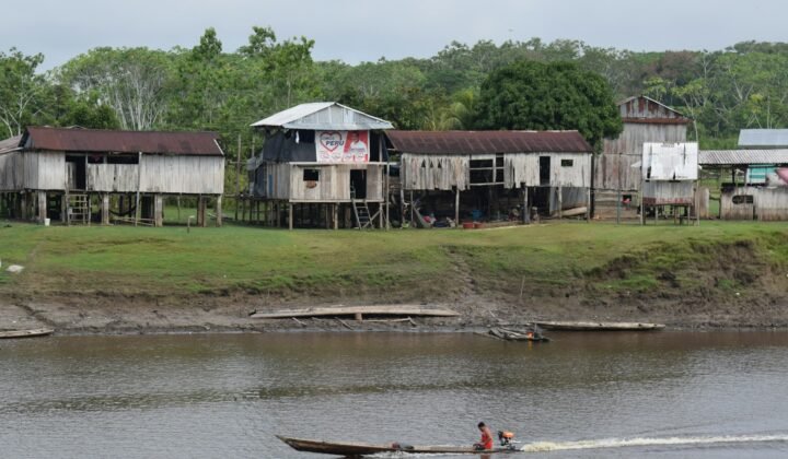 Le sélénium aide l'organisme à gérer le mercure dans des communautés riveraines d'Amazonie, selon une étude de l'USP